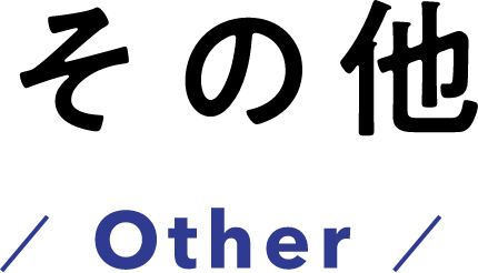 その他 other